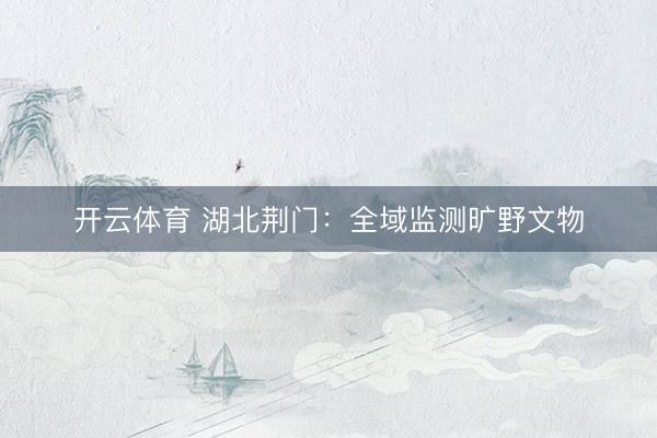 开云体育 湖北荆门：全域监测旷野文物