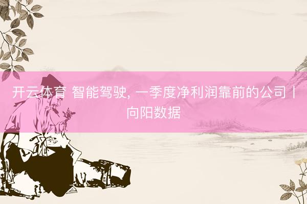 开云体育 智能驾驶, 一季度净利润靠前的公司丨向阳数据