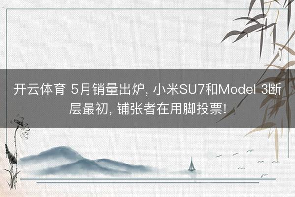 开云体育 5月销量出炉， 小米SU7和Model 3断层最初， 铺张者在用脚投票!