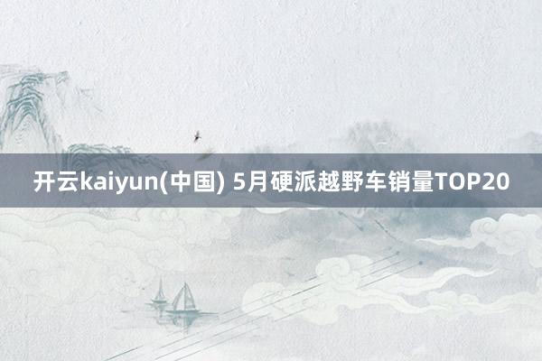 开云kaiyun(中国) 5月硬派越野车销量TOP20